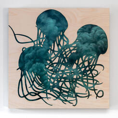Medusae
