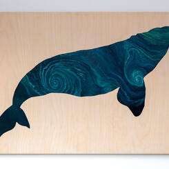 Right Whale (Eubalaena glacialis)