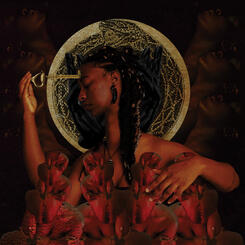 Go back and get it (from the Sankofa series)