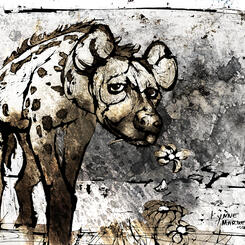 Hyena Misunderstood (2020)