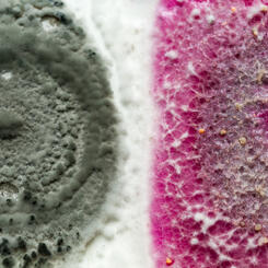 Close up mold spores on paper 