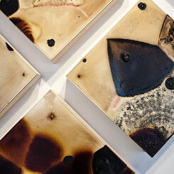 Contamination 28 (detail)