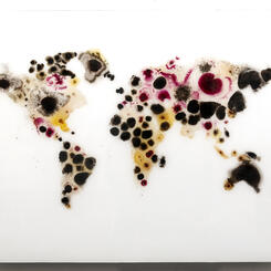 The World (5th version)