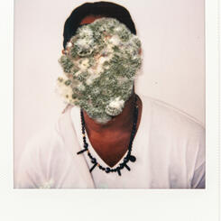 Fertile Faces (Freddie)