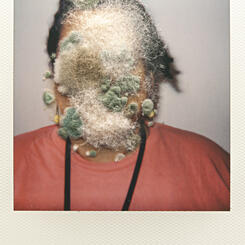 Fertile Faces (Gisela Rosario Ramos)