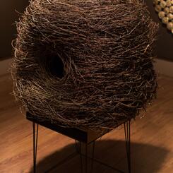 A bird is safe in its nest - but that is not what its wings are made for.  -Amit Ray 