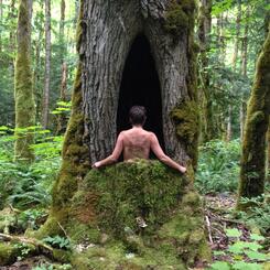 Nature Nurture I (photo)