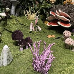 Forest Royalty, 2022