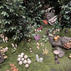 Forest Royalty, 2022