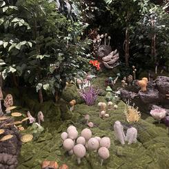 Forest Royalty, 2022