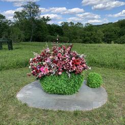 Embedded in the seed is the blossom waiting to unfold 