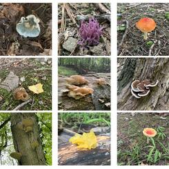 Composters and Connectors, 2022