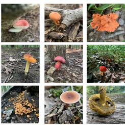 Composters and Connectors, 2022