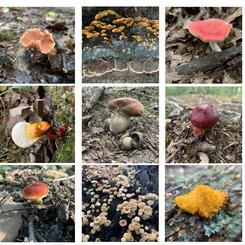 Composters and Connectors, 2022