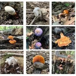 Composters and Connectors, 2022