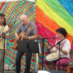 Collaborative Medicine Music Performances, 2015-present