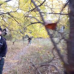 Dink and his shovels