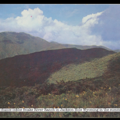 Still from an animation with archival materials