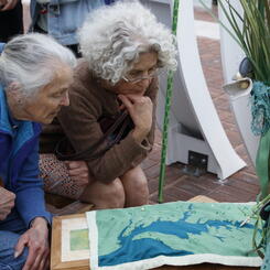 Riparia / The Treasure (Chesapeake Bay Estuary) 