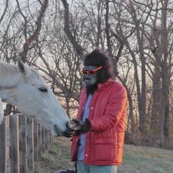 Sylvio and the horses