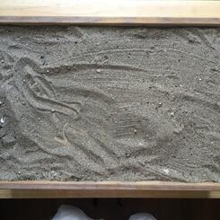 bed by Maple, aged 18 months