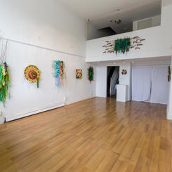 Installation shot at Cardinal Gallery