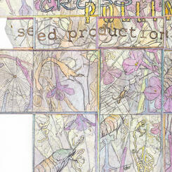 Detail 2 - Phlox at Summer's End