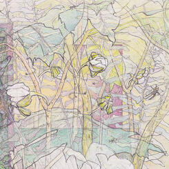 Detail 1 - Mayapple Flower Buds 