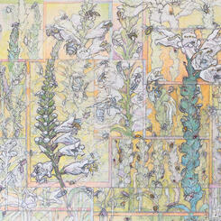 Physostegia - Insect Visitors