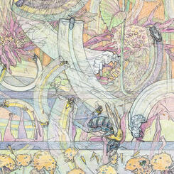 Detail 2 - Bees Disappearing