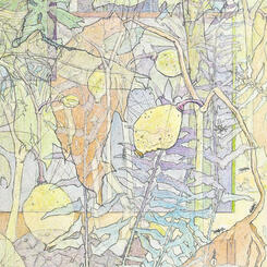 Detail 3 - Mayapples