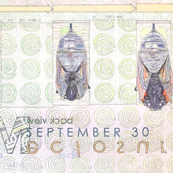 The Orange Acrobat - Back View