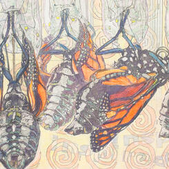 Detail 8: Butterflies with Background Words