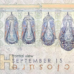 The Orange Acrobat - Frontal View