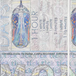 Detail 1: First Section, Fortitude