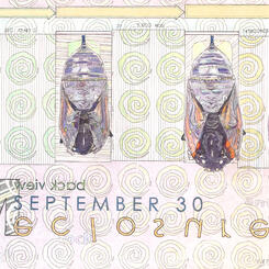 Detail 2: Chrysalis Opening Stages