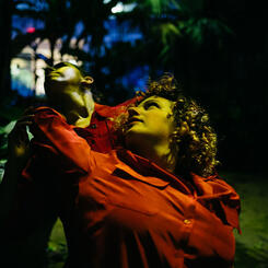 Leaning Toward the Sky at the U.S. Botanic Garden (Image by Mariah Miranda)