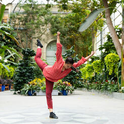 Leaning Toward the Sky at the U.S. Botanic Garden (Image by J.Hsu)
