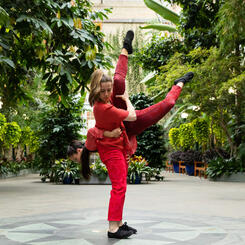 Leaning Toward the Sky at the U.S. Botanic Garden (Image by J.Hsu)