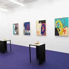 Fad Bodies - Install View