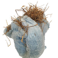 All the girls in town