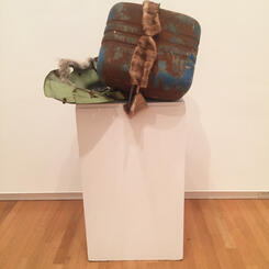 Their beauty shown out too boldly against a conventional background