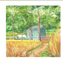 Barn Cat plein air watercolor by MJ OELKE.jpg