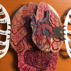 Close-up of heart and lungs