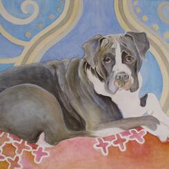 Lachlan the 120 pound boxer 