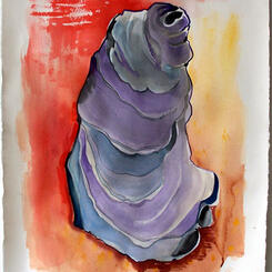 Purple oyster 1 of 2