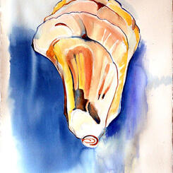 Blue rising oyster 2 of 2