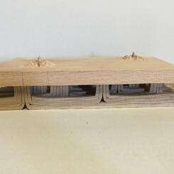 The Hidden Masses.JPG