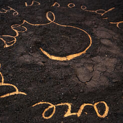 If A Story Is Seed... (DETAIL)