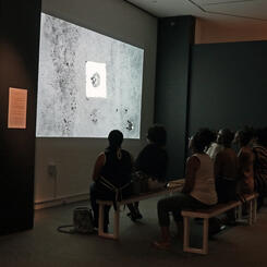Museum Visitors viewing The INTREPID Trilogy